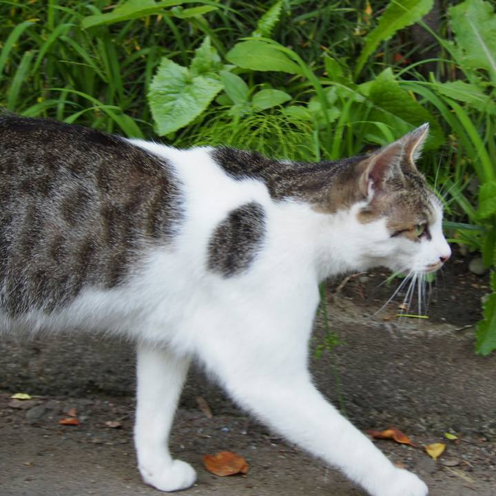 Da665249 0595 44be 84f6 5db7ace6014e