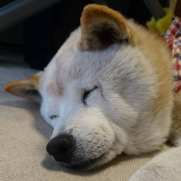 Da66bf24 7a05 407a aeb6 3fe3eb4b3eb5