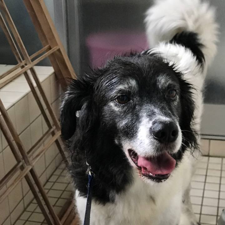 Da675d76 6be3 48bd abd1 7f468db35a83