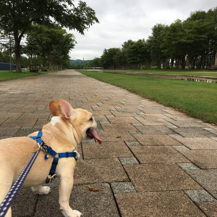 Da680b31 1a51 4ffe bafa da4847f16e82