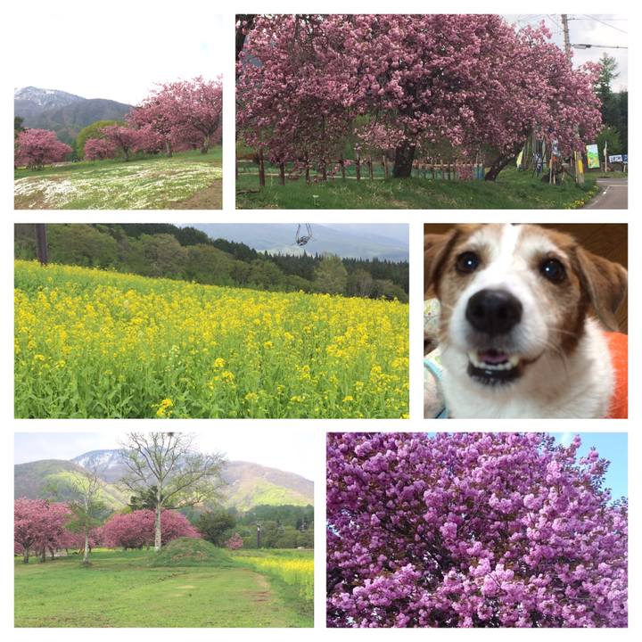 Da6839f7 03f9 480c be9c 4f094c2f1334