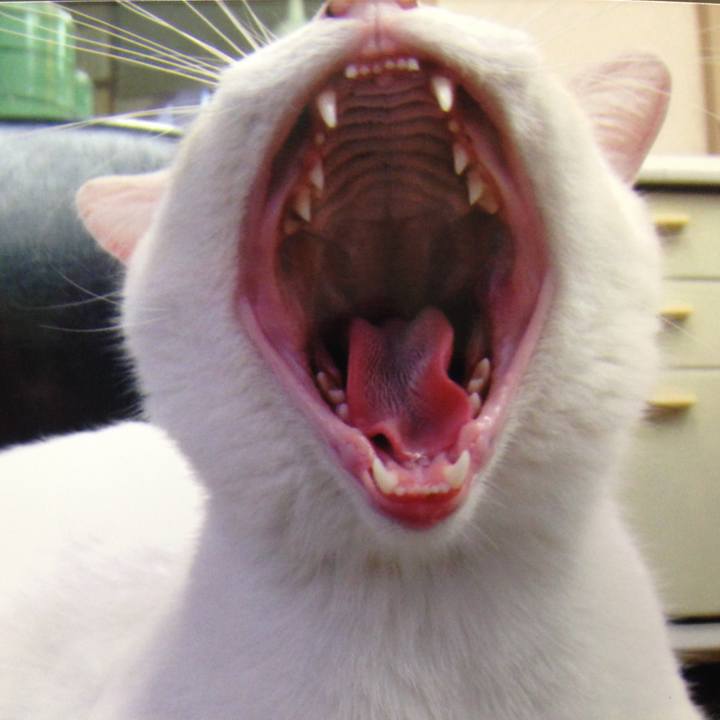 Da690b44 01f8 40de b107 bbf676b0fceb