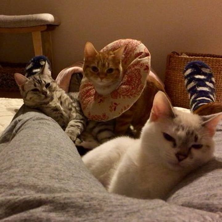 Da694c1d 1491 4539 9790 fc435614e462