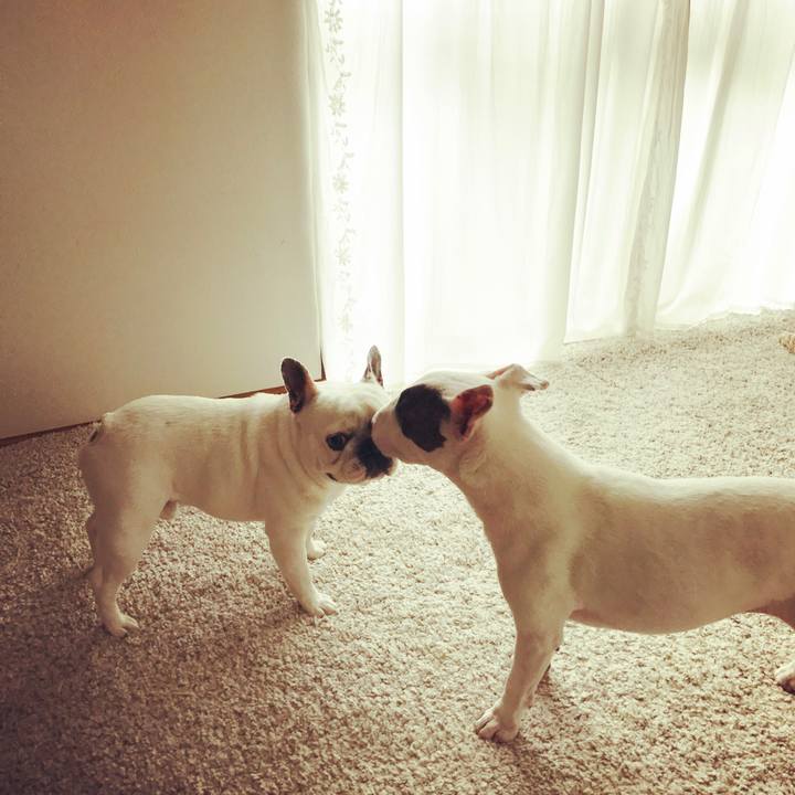 Da69d7fd 53a1 4158 9cfa 54442dec76f9