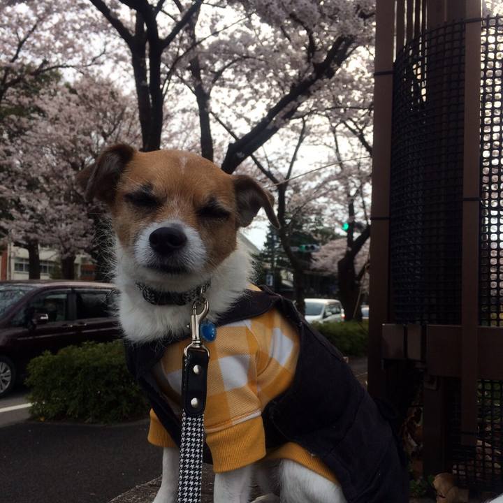 Da6a1647 3107 4be2 a026 0cc0f1ccf8aa