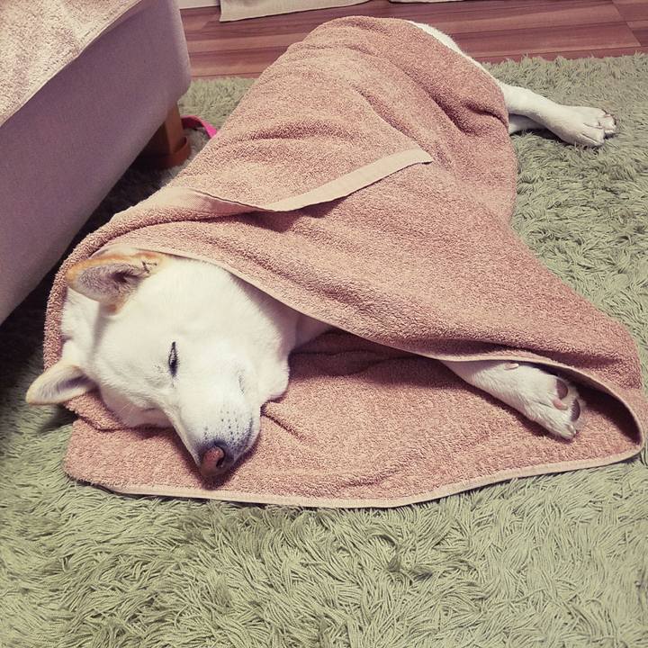 Da6a2dac 12fd 436d ab76 c248f935449a