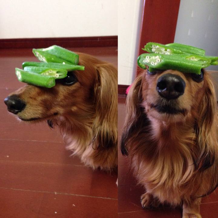 Da6b4459 8ac7 4a2c 9e1c 45a6776e0601