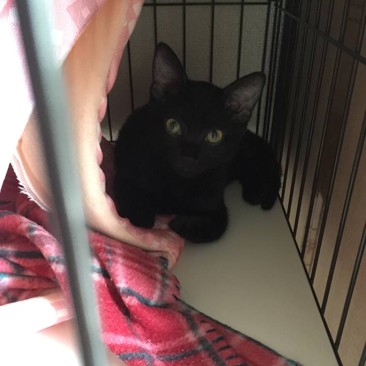 Da6b475e c632 40ae a793 fbc97544a6f6