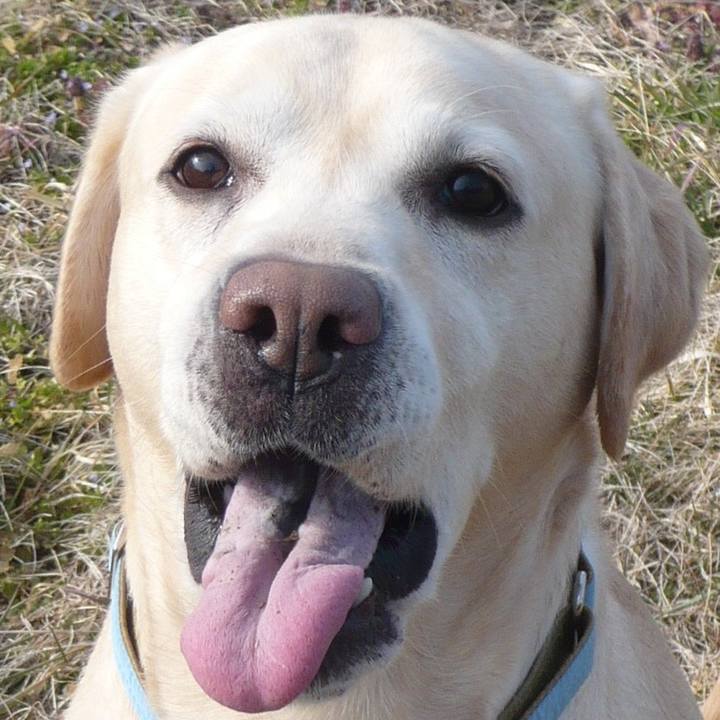 Da6bcb6d 512c 49c7 abb7 7ca0c378fc76