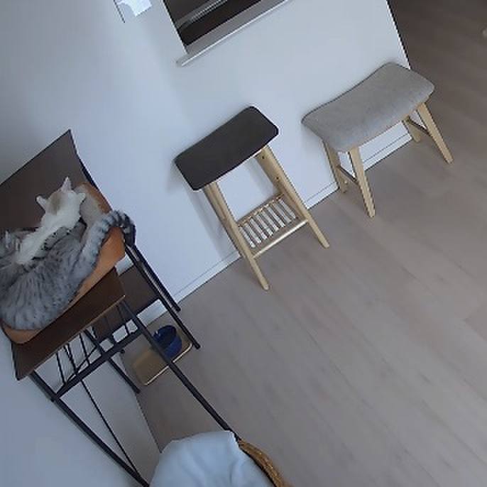 Da6c3dd5 29fd 4b03 b954 80b3368732b8