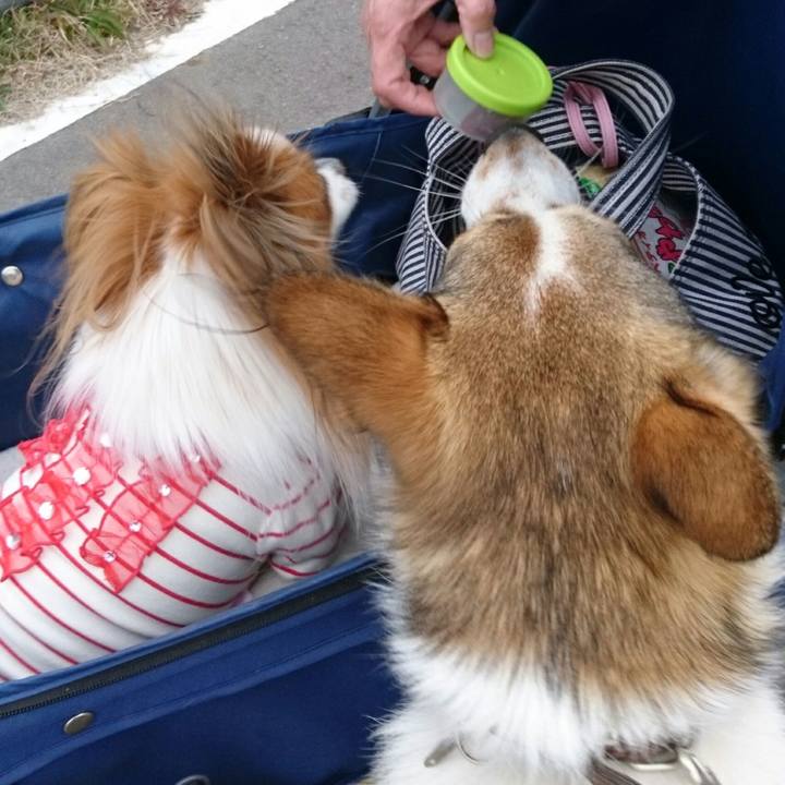 Da6c8b65 f531 4ce9 8784 180cd79cedac