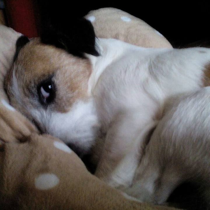 Da6cf253 19bc 4dec abcc 6feac72eb15e