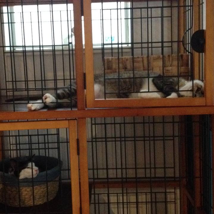 Da6d174e dd40 4960 bdfa 6ab49c4efdba