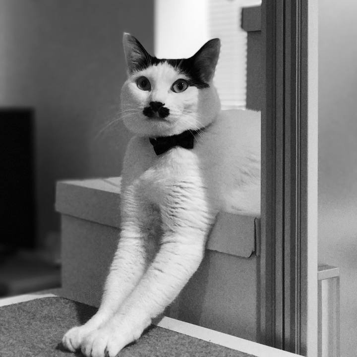 Da6d4e67 8b1c 429a ba80 acbb1344b17a