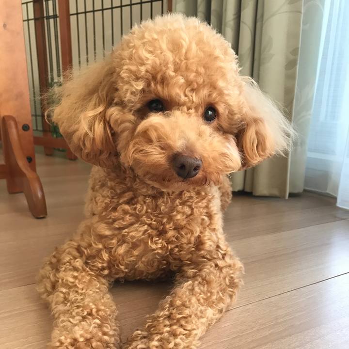 Da6f08e1 9cc4 4e42 8c37 5009536d146d