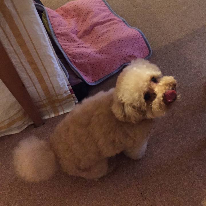 Da6f43ec fa27 429b 8693 762bc182717d