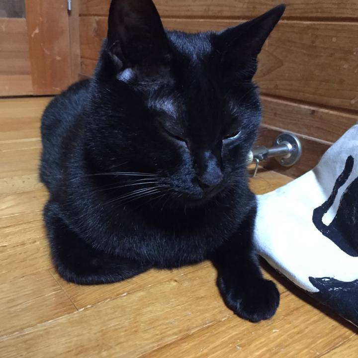 Da6ff8fb 7ae1 4a12 8c6d 1fc95bdc8660