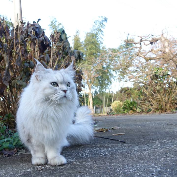 Da70311e 9f00 4bbd 9a32 06cfd0c1de39