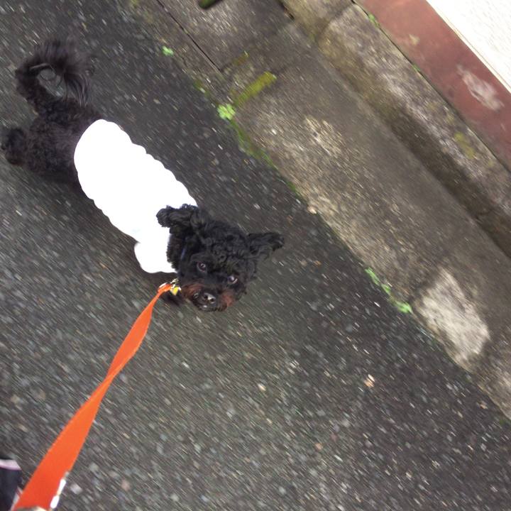 Da709e1b 6c08 4fa7 97bc 49eb2f216b96