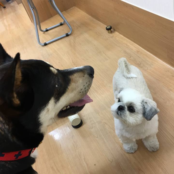 Da70dbf3 7840 4a57 97f5 1189af8f26bd