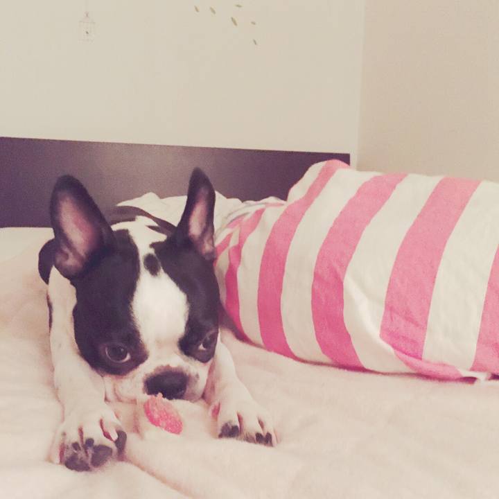 Da713240 b785 4716 93dd a1b72aa07696