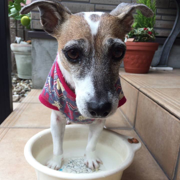 Da716aee e50e 42cc 8915 aa1c423e06ae