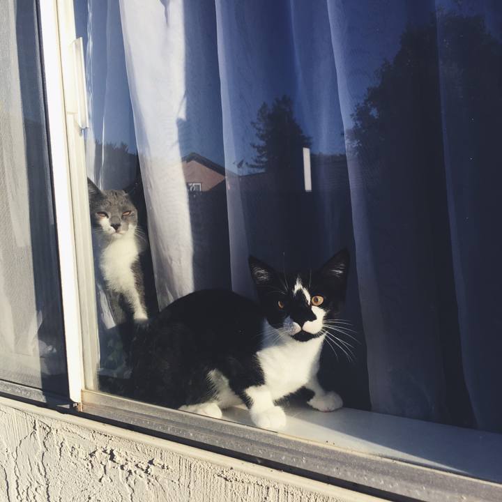 Da716b1f 1b8c 4076 9a03 ca77709d9ebf