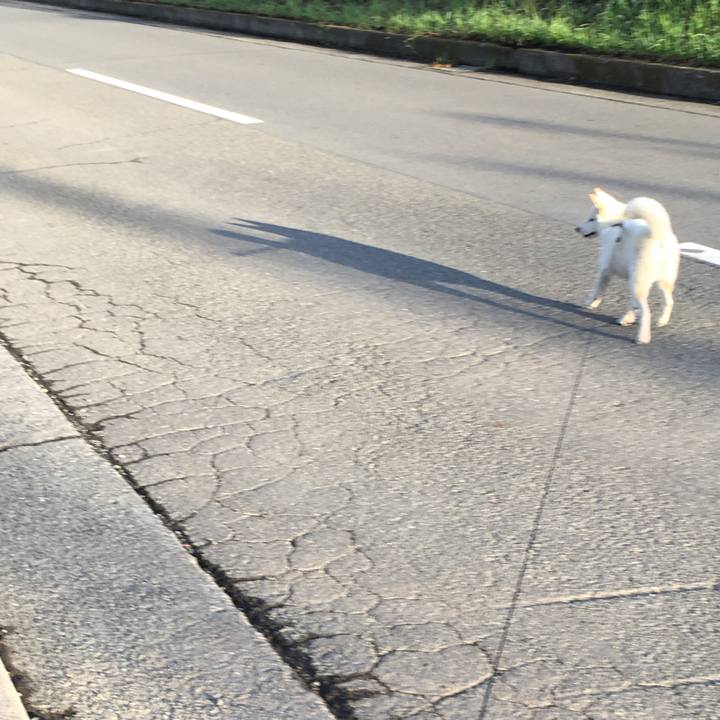 Da71afc5 b939 49a7 9508 2b0c1da008bc