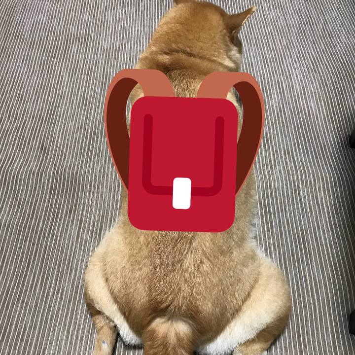 Da71fdb3 5608 4832 b512 8ff1444ae365