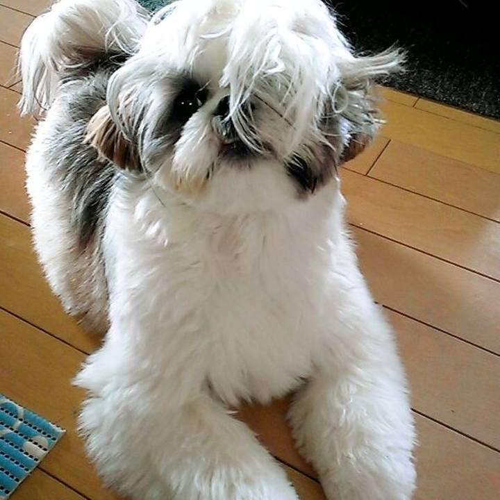 Da72fb13 d71d 4caa aaa0 a604061ca94a