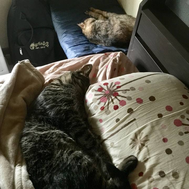 Da732226 e1be 4622 9614 e7dc864db5a1