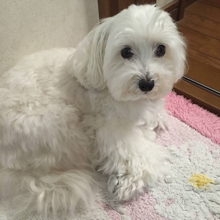 Da73325c a8d5 4653 802a af857f849d83