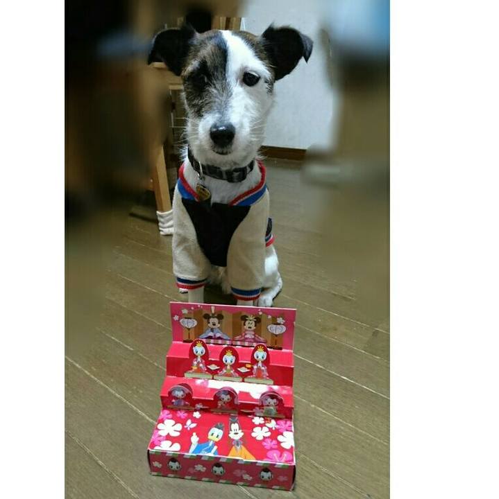 Da7336ff 0387 40bb b2fa 21c10bac6ec6