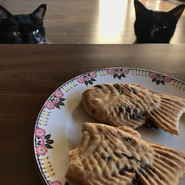 Da739dc6 0417 4fa9 8cab 235f6c8d2025