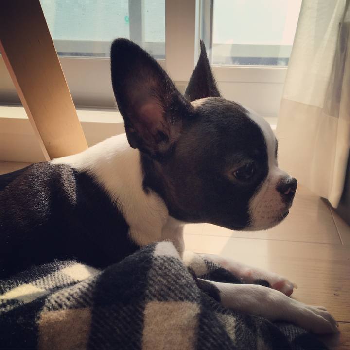 Da73a479 a9a9 494e a370 6b5c0f9b7145