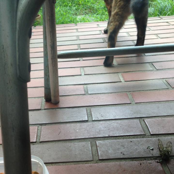 Da74079a c4c3 4e3e 8214 f341b0aac83a