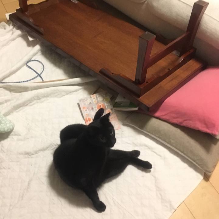 Da740f54 0b29 4352 b366 829503fde2fc