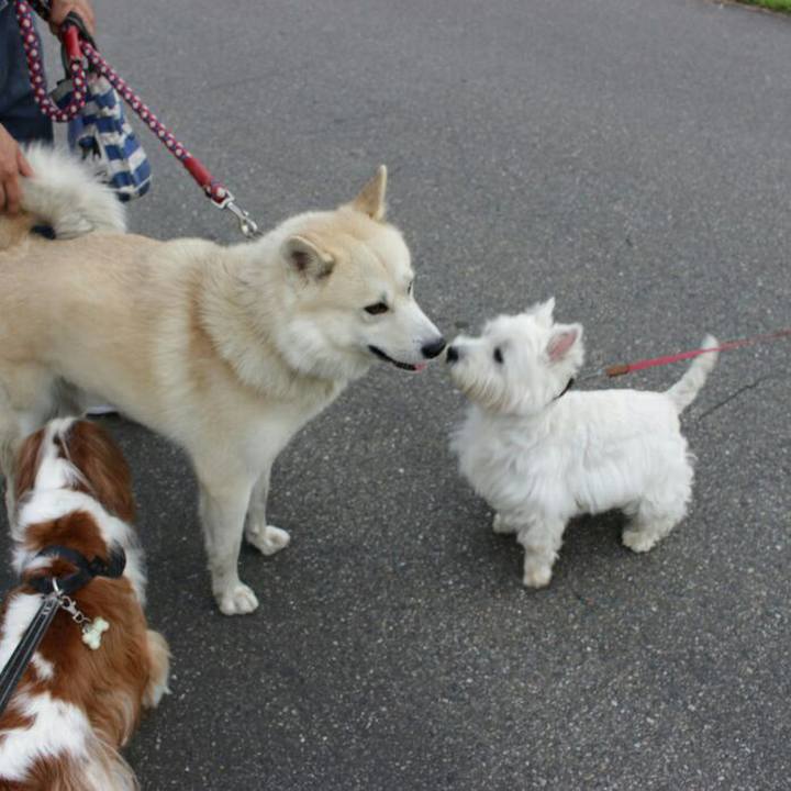 Da741340 61de 4ecf bff9 ff3cf4e4e5d2