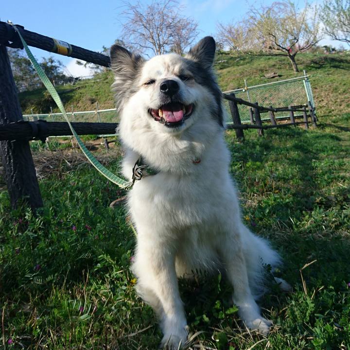 Da74dbec d695 4cce af1d 552d22f376fd