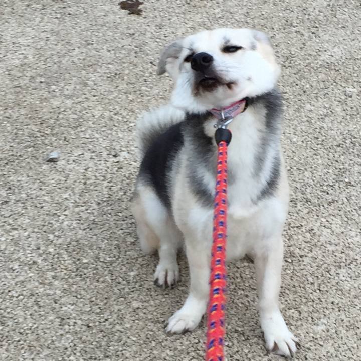 Da75b7f1 96d8 462f a668 2bdde57ca7ef