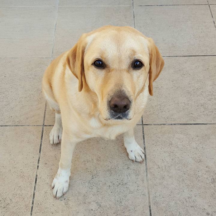 Da772c8b 03cd 42b8 8da4 4ee081e31ef6