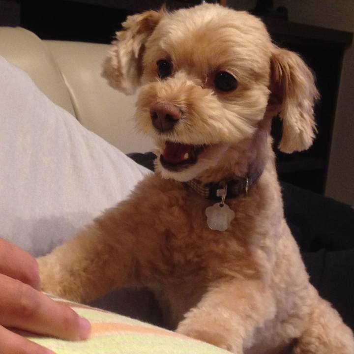 Da776525 bcad 4516 83e0 d2c035277bec