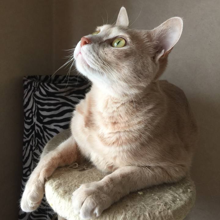 Da77aa2b 2e0e 4000 a74b 86d894331fb2