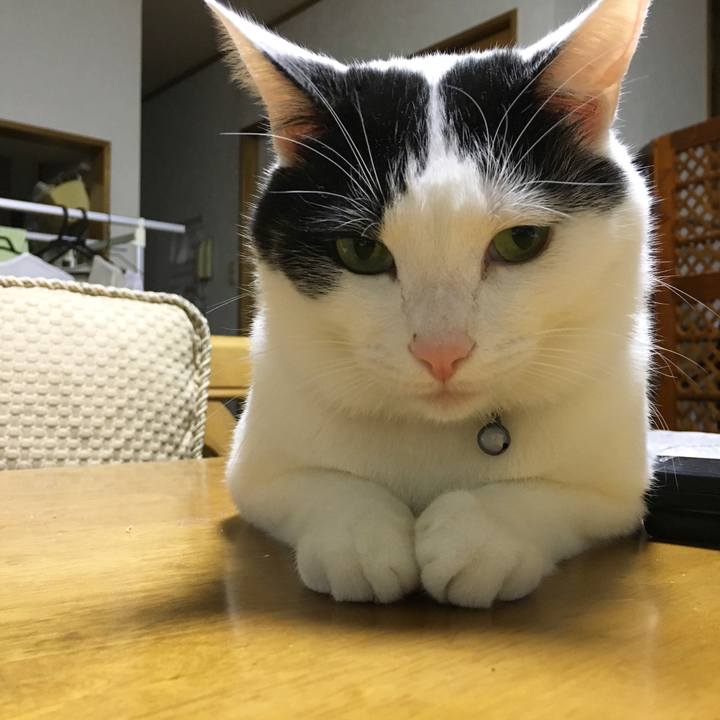 Da77ae35 6761 4c9a 91f2 c4dd73b9f4ae