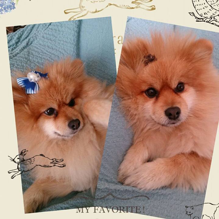 Da780d6a 2a95 4b09 a552 bce279c48a68