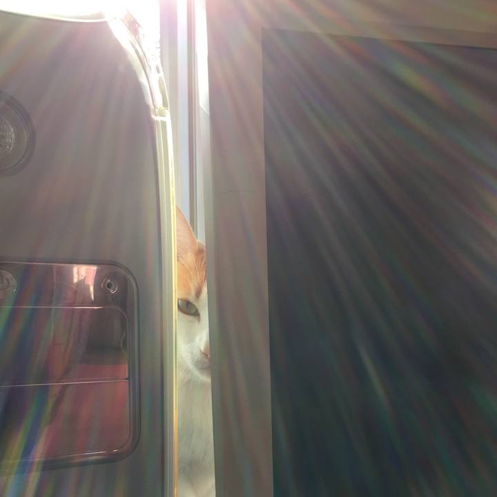 Da7850eb 85ac 41e8 bed1 eed1d7813de8