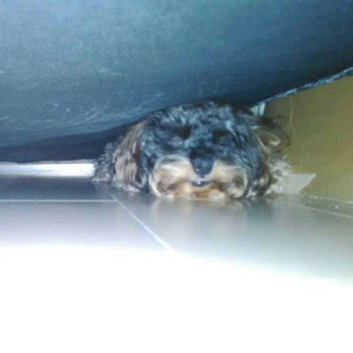 Da78cc97 8601 4df4 9244 a55e447fd1e3