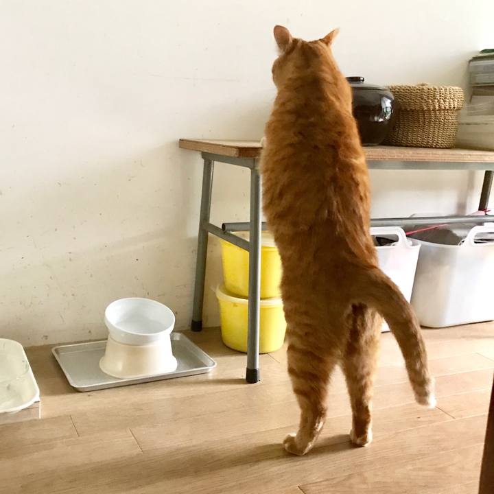 Da7929f5 cfb3 48d9 9e84 fb569afaf5a7