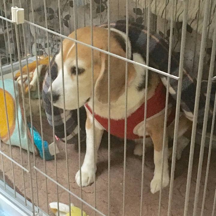 Da793064 1317 4069 a670 05b66d4586d6