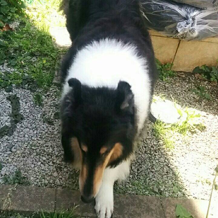 Da7980a3 5bbf 4fe5 935f 49ec2ac00b8c